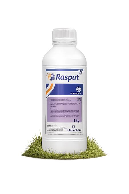 RASPUT®